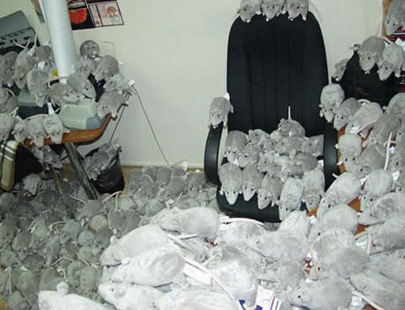 20 Best Cubicle Pranks • Linkiest